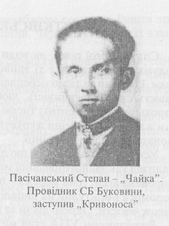 Фото Степана Пасічанського - "Чайки"