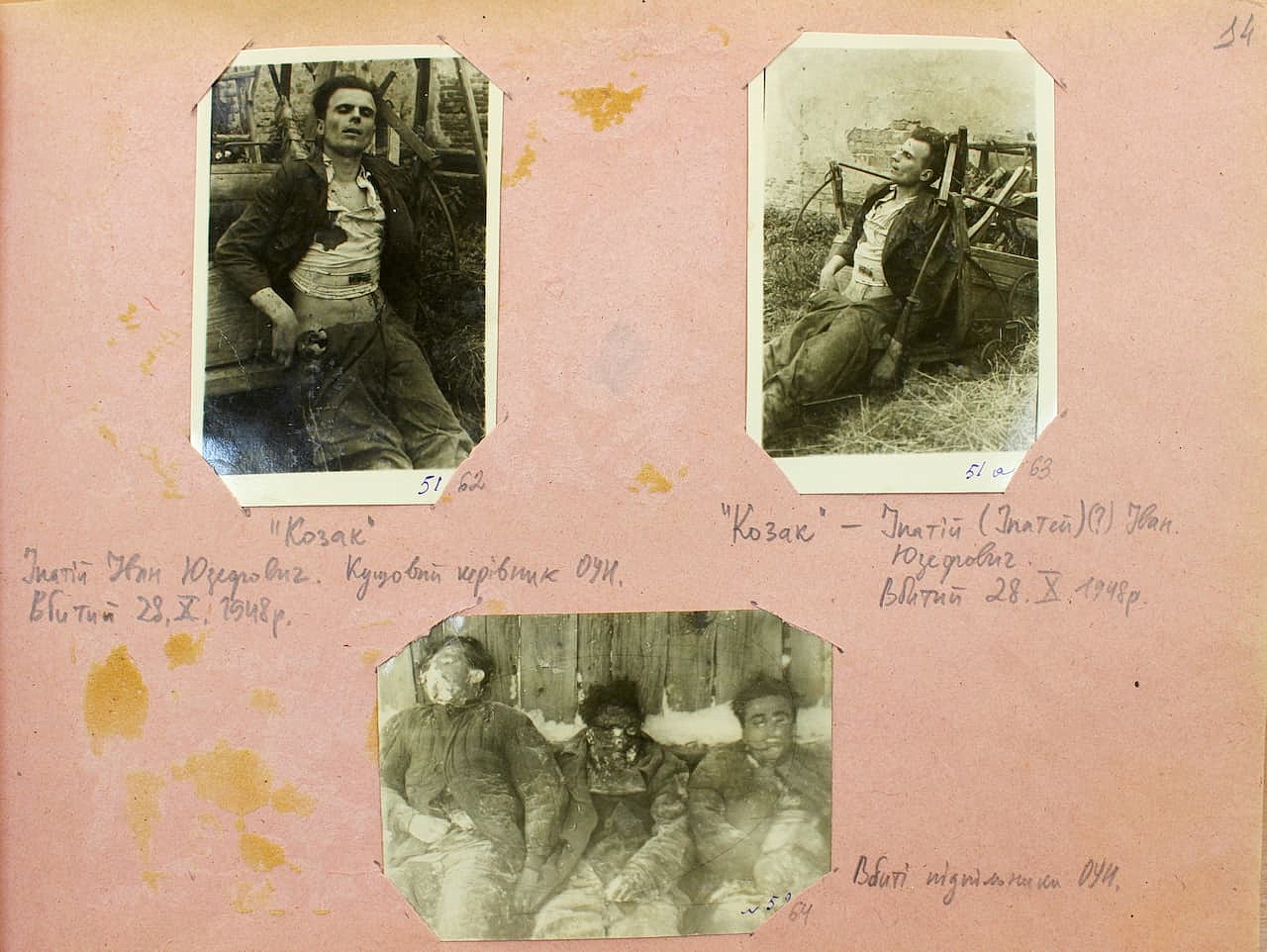 Фотоальбом. Сторінка 14