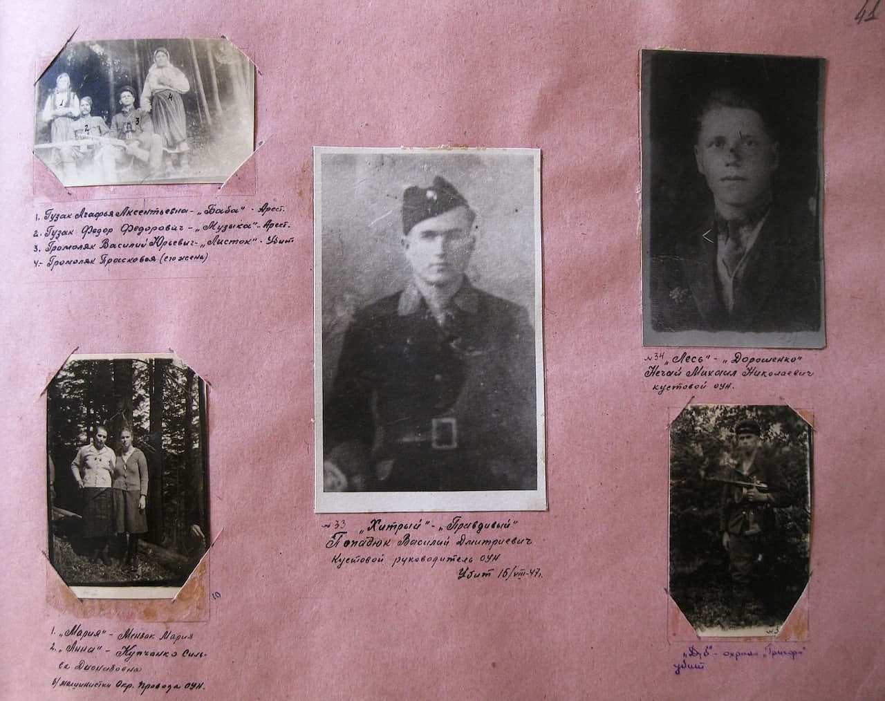 Фотоальбом. Сторінка 41