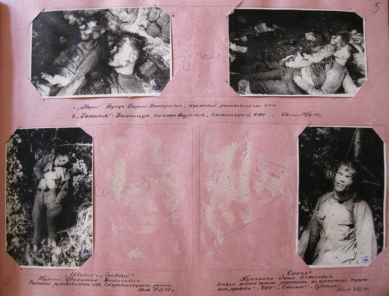 Фотоальбом. Сторінка 5
