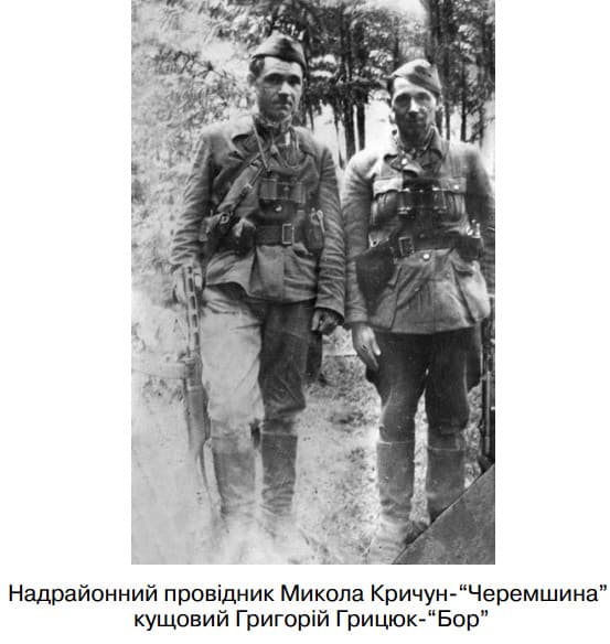 Черемшина та Бор