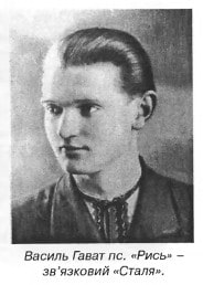 Василь Гават